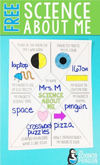 Science About Me! First week activity for 4th and 5th grade science and a FREE and useful first idea for your planning this summer. Get this and you have one thing done! Science About Me, Sixth Grade Science, First Week Activities, Science Penguin, Science Board, Fourth Grade Science, Middle School Science Classroom, Science Room, Science Classroom Decorations