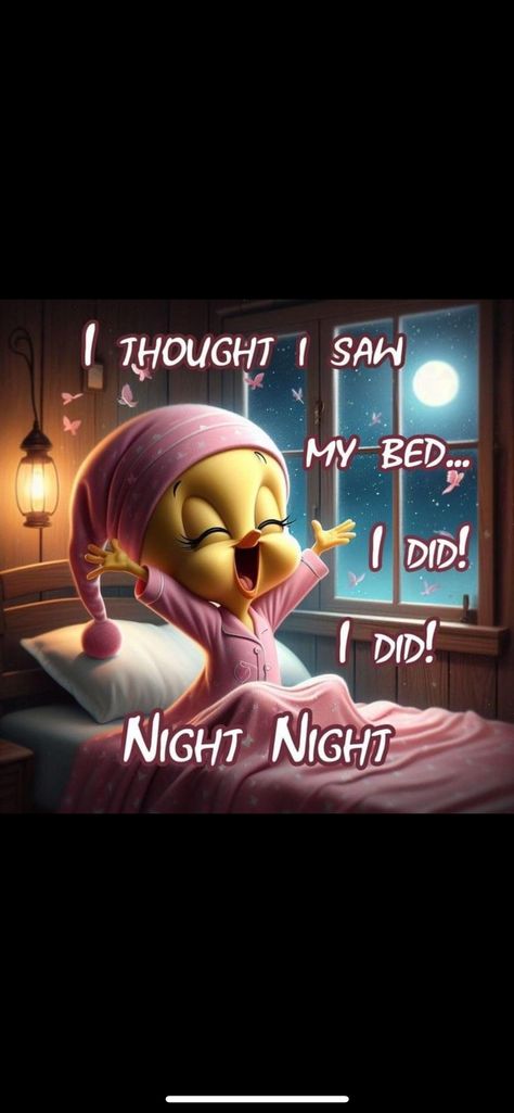 Good Night Encouragement, You Awake Funny, Good Night Funny Hilarious, Good Night Funny Quotes, Funny Good Night Images Hilarious, Good Night Humor, Good Night Sweet Dreams Cute, Funny Good Night Pictures, Tweedy Bird