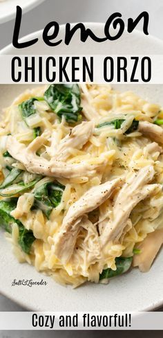 Creamy Lemon Chicken Orzo, Lemon Chicken Orzo, Orzo Recipe, Creamy Lemon Chicken, Orzo Recipes, Chicken Orzo, Rotisserie Chicken Recipes, Pasta Salads, Winner Winner