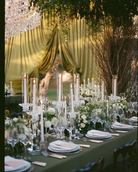 All posts • Instagram Enchanted Forest Wedding Table, Forest Wedding Table, Enchanted Dark Forest, Dark Forest Wedding, Wedding Table Inspiration, Dark Green Wedding, Velvet Decor, Dinner Setting, Wedding In France