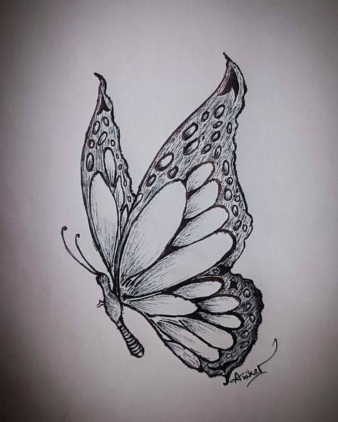 ~Every stroke tells a story...Every stroke of this pen is a work of art : Titli 🦋 Drawing takes time.A line has time in it....⏳ {BUTTERFLY} •Embracing transformation and color 💖 •Caught in a flutter of beauty and grace 🌸 •Wings made of petals and dreams 🌈✨ •Floating on air, as light as a feather 💨 •Nature's tiny, bejeweled ballet dancer 💎 •Chasing the daylight in technicolor 🌞🎨 . . . . #drawing #artist #illustration #digitalart #painting #artistsoninstagram #artoftheday #sketching #digitaldra... Butterfly Pen Drawing, Butterfly Line Drawing, Fly Drawing, Bleach Hoodie, Butterflies Flying, Light As A Feather, Artist Illustration, Illusion Art, Ballet Dancer