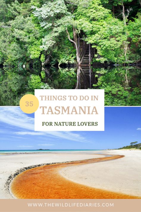 Before you plan your Tasmanian itinerary check out this guide to the most amazing things to do in Tasmania for nature lovers. Backed by experience! What To Do In Tasmania, Australia Vacation Destinations, Things To Do In Tasmania, Things To Do In Melbourne Australia, Tasmania Winter, Tasmania Itinerary, Tasmania Road Trip, Tasmania Travel, Working Holiday