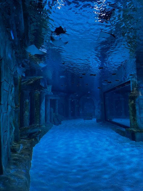 Underwater Building, Underwater Dark, Aquarium Building, Barbie In A Mermaid Tale, Blue Aquarium, Star Room, Environment Inspiration, 2 Aesthetic, Classic Barbie