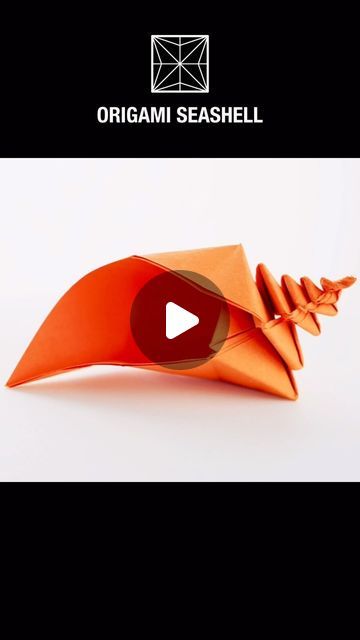 5,931 likes, 6 comments - papercrafts1101 am April 18, 2024: "ORIGAMI SEASHELL Designed by Davor Vinko Modified by Paper Crafts 1101 #papershell #basteln #muschell #papercrafts #origami". Origami Seashell, Shell Origami, Paper Shells, Coral Decor, Modular Origami, Sea Snail, Snail Shell, Preschool Crafts, Sea Shells