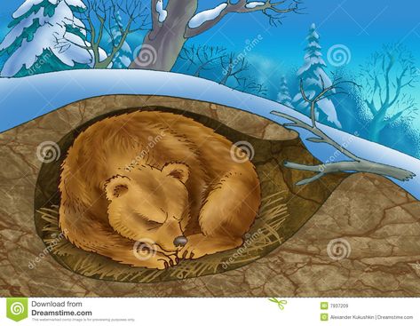 Nature, Animals That Hibernate, Urs Polar, Winter Classroom, Winter Animals, Bear Art, Winter Crafts, Animals Of The World, Science For Kids