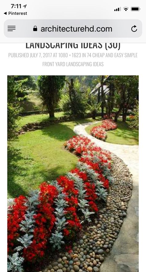 Lilly Garden Ideas, Flower Garden Aesthetic, Flower Garden Ideas, Small Flower Gardens, Rose Garden Design, Annual Garden, Shade Garden Plants, White Lilly, Evergreen Garden