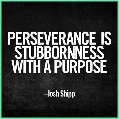 Perseverance is stubbornness with a purpose~Josh Shipp (I love this one)LOL! Description from pinterest.com. I searched for this on bing.com/images Perseverance Quotes, How To Believe, This Is Your Life, Go For It, Quotable Quotes, Quotes About Strength, Motivation Inspiration, The Words, Great Quotes