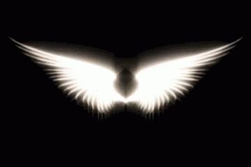 Angel Wings GIF - Angel Wings Fly - Discover & Share GIFs Angel Wings Gif, What Element Are You, Angel Wings Pictures, Fly Gif, Angel Gif, Angel Images, Banner Gif, Aesthetic Gif, Angel Art