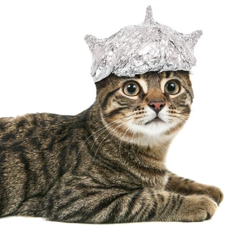 Celebrate Tin Foil Hat Day 2016 | Kaspersky official blog Alien Face Paint, Retro Future Fashion, Foil Hat, Tin Foil Hat, Prehistoric Man, Ninja Cats, Hat Day, Tin Foil, Bad Cats