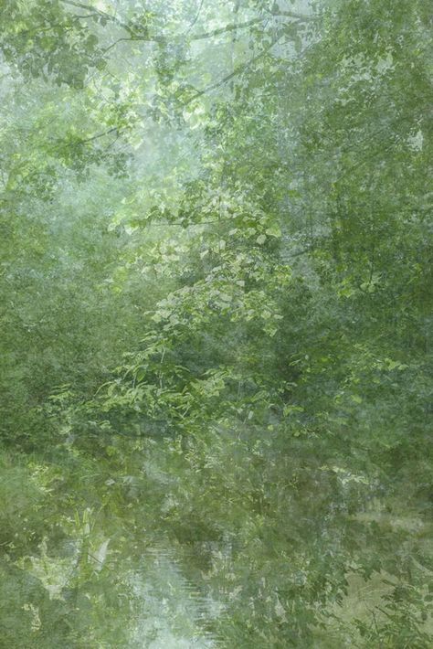 Trees, Water, In The Woods, Green