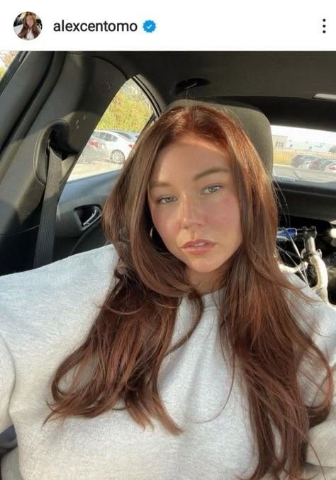 Hair Amber Color, Auburn Hair Hazel Eyes, Sansa Stark Hair, Hair Change Ideas, Alex Centomo, Brown Auburn Hair, Light Auburn Hair, Redken Hair Color, Instagram Call