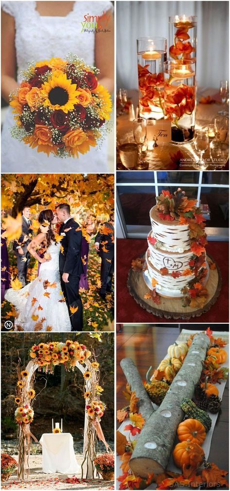 Fall Weddings » 23 Best Fall Wedding Ideas in 2017  »   ❤️ See more:  http://www.weddinginclude.com/2017/03/best-fall-wedding-ideas/ Wedding Themed, Boda Mexicana, Fall Wedding Decorations, Fall Wedding Colors, Sunflower Wedding, October Wedding, Wedding Guide, Fall Decorations, Halloween Wedding