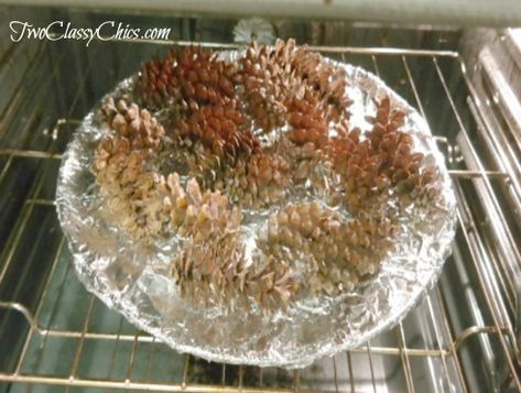 Remove Sap From Pinecones, Bake Pinecones For Crafts, Clean Pinecones How To, How To Clean Pinecones For Crafts, Pinecone Painting, Iced Branches, Cone Ideas, Clean Your Oven, Holidays Crafts