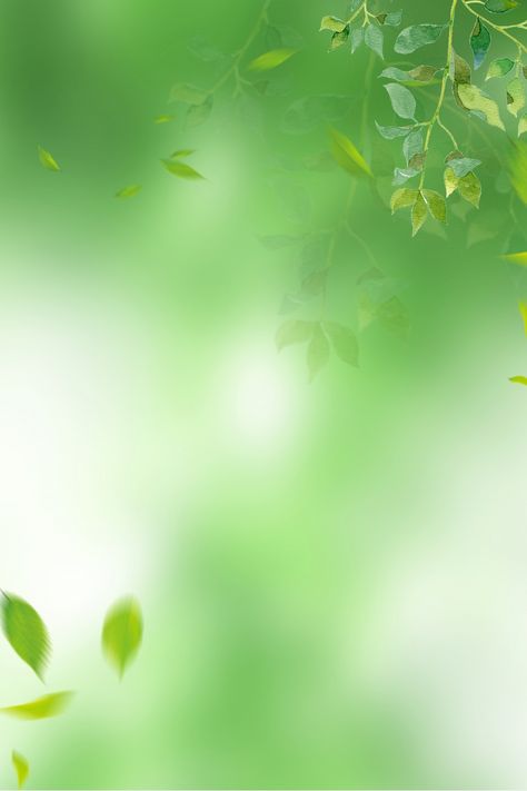 Green,fresh,leaves,halo,simple,background,spring,green background,women Green Background Wallpapers, Cute Green Wallpapers, Green Flower Background, Green Colour Background, Leave Background, Green Background Aesthetic, Green Aesthetic Background, Green Background Design, Green Bg