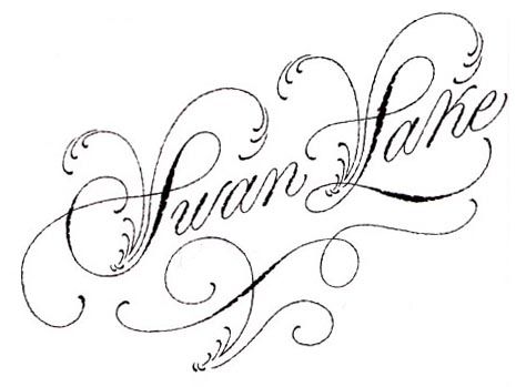 New Typography, Cool Font, Barbie Swan Lake, Display Fonts, Font Design, Swan Lake, Cool Fonts, 로고 디자인, Cute Tattoos