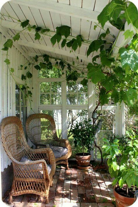 Porch نباتات منزلية, Balcony Decor, Porch Patio, Outdoor Rooms, Garden Room, 인테리어 디자인, My Dream Home, Future House, Porch Decorating