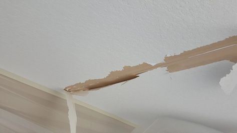 Painting Ceilings Tips, Plaster Ceiling Repair, Garage Drywall, Repairing Drywall, Sheetrock Ceiling, Fixing Drywall, Wallpaper Repair, Repair Ceilings, Sheetrock Repair