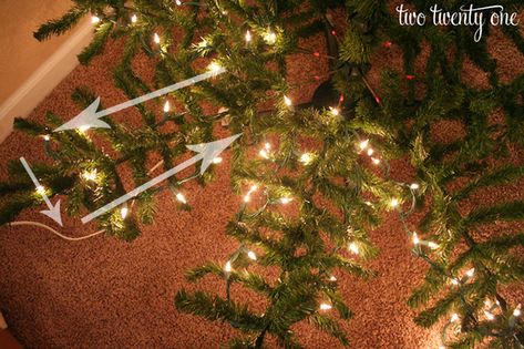 How to put lights on a Christmas tree! Genius! Christmas Lights Outdoor Trees, Xmas Tree Lights, Christmas Lights Wallpaper, Christmas Lights Ideas, Christmas Lights Outside, Diy Lights, Diy Christmas Lights, Cheap Christmas Diy, Christmas House Lights