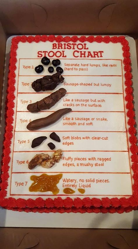 Bristol Stool Chart Cake, Poo Cake, Vet Cake, Candy Bar Cards, Bristol Stool, Bristol Stool Chart, Stool Chart, Nursing Assessment, Funny Birthday Cakes