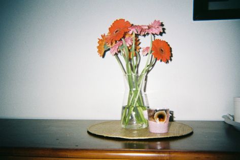 Dreamy Film Aesthetic, Flower Film Photography, Flowers Film Photography, 16mm Film Aesthetic, Film Camera Aesthetic Pictures, Analog Cam, Flower Film, Flower Camera, Vintage Film Photography