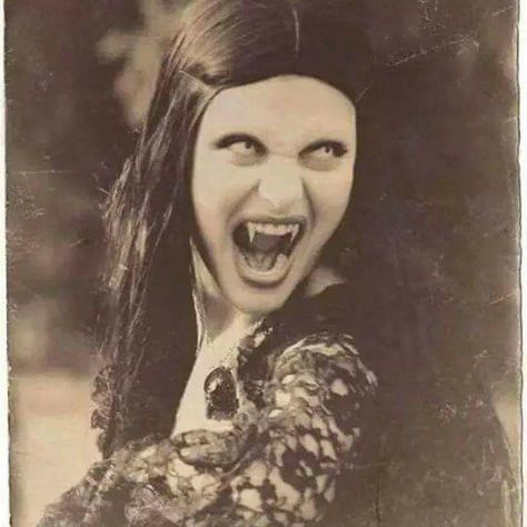 Vintage Vampire Vampire Pictures, Magic Books, Female Vampire, Occult Books, Vampire Books, Vampires And Werewolves, Vampire Girls, Vampire Art, Vampire Academy