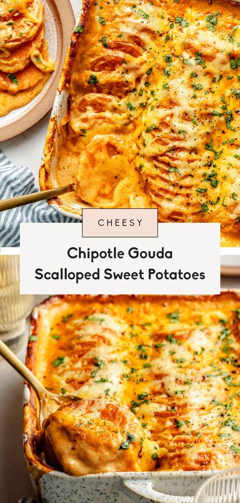 Incredible chipotle gouda scalloped sweet potatoes made with smoked gouda cheese and a kick of heat from chipotle chile sauce. You'll love this easy side dish for holiday brunches, dinners, and more! Easily gluten free and simple to make. Savory Pudding, Fwtfl Recipes, Gf Sides, Scalloped Sweet Potatoes, Easy Holiday Side Dishes, Healthy Coleslaw, Budget Food, Hot Potato, Smoked Gouda Cheese