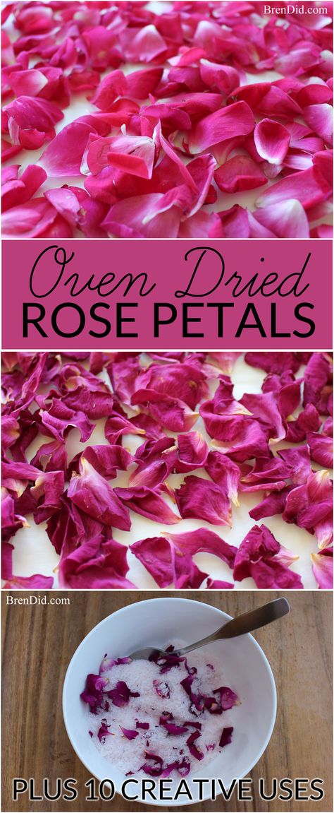 Bath Rose Petals, Dry Rose Petals, Confetti Diy, Wax Recipe, Candle Pillars, Body Care Recipes, Dry Rose, Biodegradable Confetti, Diy Body Care