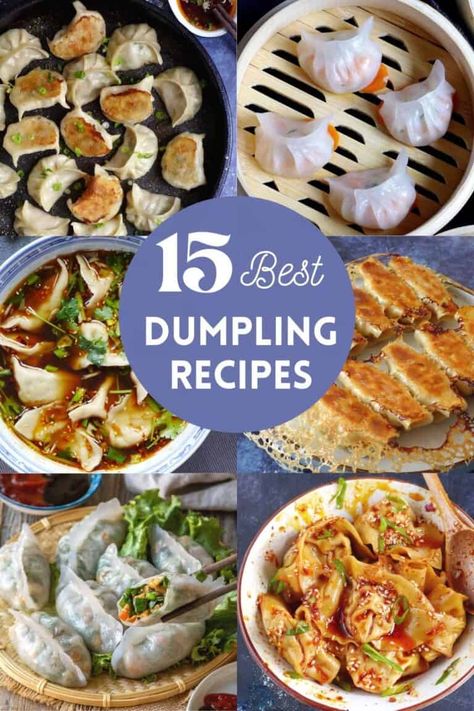 Homemade Asian Dumplings, Soup Dumplings Recipe Dim Sum, Different Dumpling Fillings, Pork Dim Sum Recipes, Authentic Dumpling Recipe, Greek Dumplings, Homemade Dim Sum, Dumpling Dinner Ideas, Chinese Dim Sum Recipes