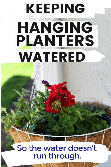 An easy and inexpensive way to prevent water from running through your hanging planters! This keeps the water in the planter so the soil gets moist and the plant can use the water it needs. Plus, the excess will drain. Hanging Plants Outdoor, Container Planting, Container Garden Design, Red Geraniums, White Planters, Diy Hanging, Hanging Pots, Hanging Planter, Diy Planters