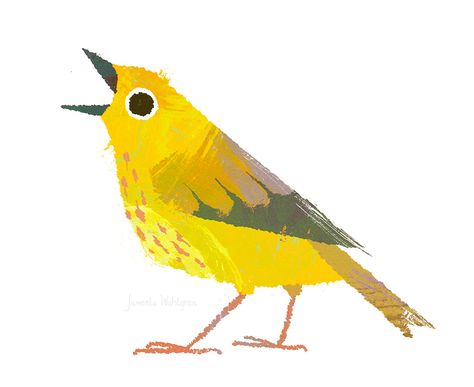 Bird Guide, Yellow Warbler, Book Illustration Layout, Children's Book Characters, Bird Artists, Bird Sketch, Picture Books Illustration, Bird Book, Bird Poster