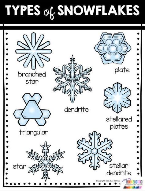 Snowflake Inquiry Kindergarten, Snow Flake Activities For Preschoolers, Winter Science Kindergarten, Snow Steam Activities, Snow Unit Study, Snow Inquiry Kindergarten, Snow Activities For Kindergarten, Life Cycle Of Snow, Snowflake Activities For Kids