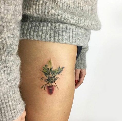 35 Plant Tattoo Ideas & Inspiration - Brighter Craft Herb Tattoo, Wörter Tattoos, Landscape Tattoo, Plant Tattoo, Octopus Tattoo, Tattoo Ideas For Women, Botanical Tattoo, Cool Small Tattoos, Vase Crafts