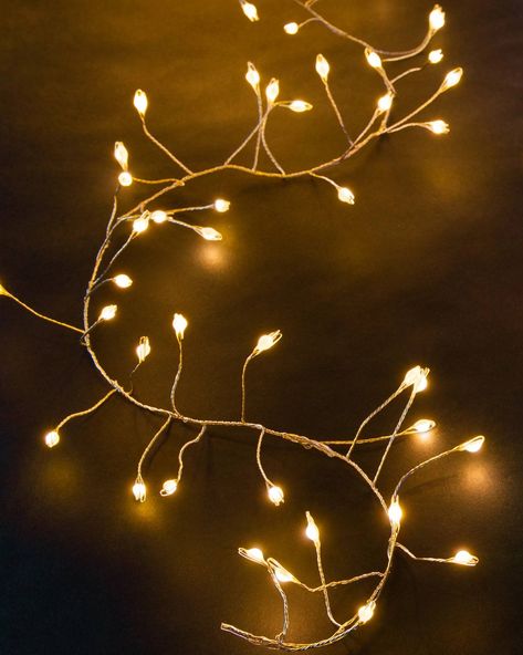 Christmas Fairy Lights, Christmas Yard Decorations, Unique Christmas Decorations, Light String, Led Fairy Lights, Fairy Light, Christmas Yard, Christmas String Lights, Christmas Garden