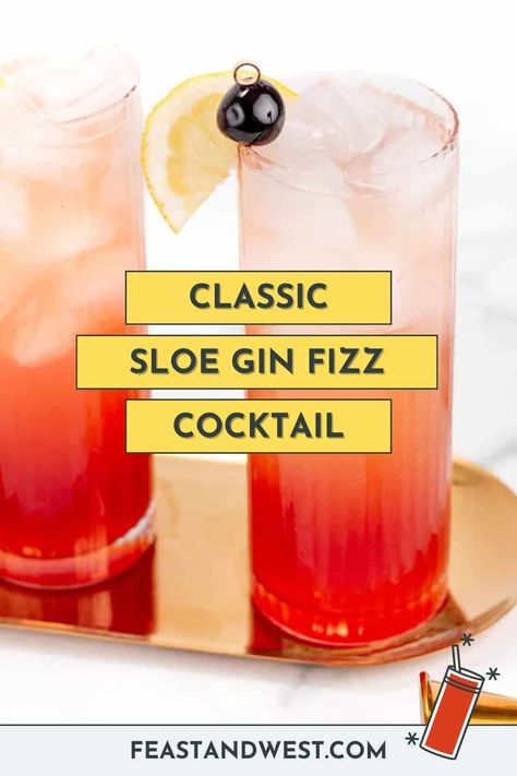 Slow Gin Fizz Recipes, Sloe Gin Fizz Recipe, Slow Gin Fizz, Sloe Gin Fizz, Gin Fizz Recipe, Alabama Slammer, Sloe Berries, Gin Fizz Cocktail, Infused Gin