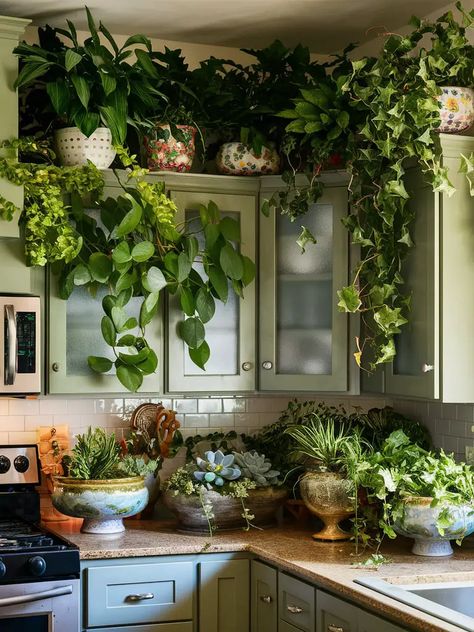 15 Above Kitchen Cabinets Decor Ideas – Your Motor Geek Hanging Plants Kitchen Cabinets, Kitchen Plant Shelf Decorating Ideas, Plants Kitchen Cabinet, Greenery On Kitchen Cabinets, Plant Shelf In Kitchen, Flowers Above Kitchen Cabinets, Plants On Top Of Wardrobe, Plant On Top Of Cabinet, Fake Plants Above Kitchen Cabinets