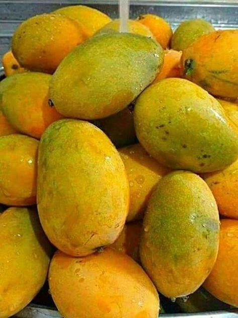 Fruits And Vegetables Pictures, Fruit World, Vegetable Pictures, Mango Margarita, Fruits Images, Mango Fruit, Mango Tree, Fruit Photography, Beautiful Fruits