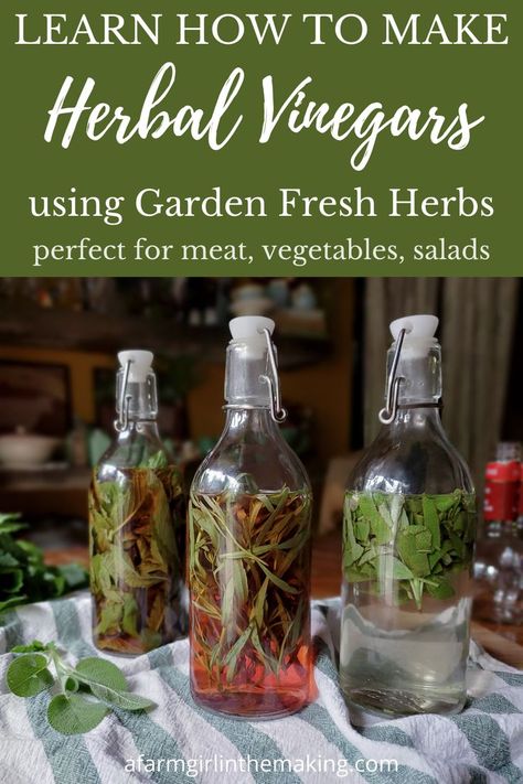 Preserve the the herbs from your herb gardeny making infused, herbal vinegars. Herb vinegars are easy to make, and here are some recipes for you to try! Thermomix, Herbs Preserving, Herbal Vinegars, Backyard Herbs, Infused Oil Recipes, Drying Fresh Herbs, Herbal Vinegar, Flavored Vinegars, Infused Vinegars