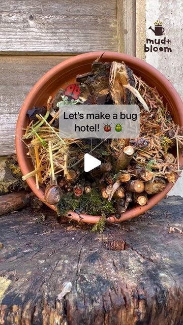 Mud & Bloom on Instagram: "🐞 Make a simple bug hotel! 🐌  Bugs and insects are really important for the plants, soil and animals all around us. They help plants to reproduce, keep our soil healthy and provide food for birds and animals. Insects need to find somewhere out of the rain and cold to spend the autumn and winter. A bug hotel is perfect - insects will love crawling in and finding a tiny corner to snuggle up in!  This bug hotel is really simple to make: you just need a container such as an old plant pot and you can collect the rest of the materials on an autumn’s walk 🍁   We’ve written a blog post with instructions on how to make a bug hotel which you can link to from our profile 👆   #bughotel #insecthotel #wildlifegarden #mudandbloom" Bugs Hotel Ideas, Homemade Bug Hotel, Bug Hotel Diy Kids, Bug Hotel Ideas, Bugs Hotel, Diy Bug Hotel, Natural Activities, Bug Houses, Hotel Plants