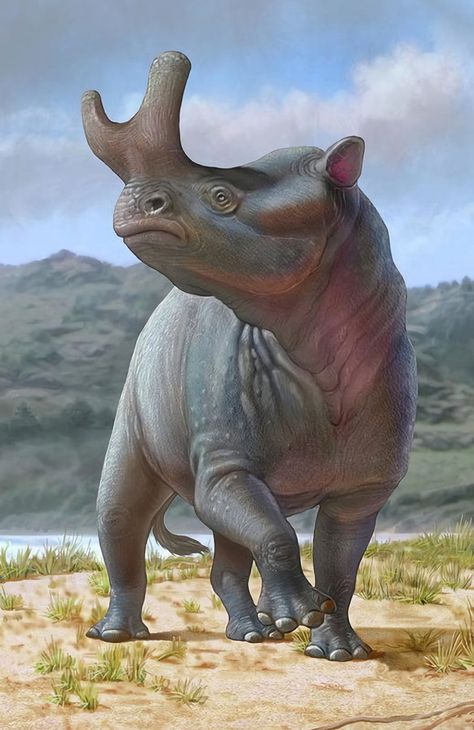 Brontotherium Prehistoric Wildlife, Prehistoric Animals, Tyrannosaurus Rex, Fantasy Concept Art, Scale Models, Dinosaurs, Concept Art, Birds, Models