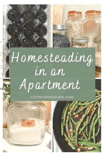 Apartment Homesteading, Living In An Apartment, Meat Birds, Environmentally Friendly Living, Homemade Cleaning Supplies, Modern Homesteading, Homesteading Ideas, Allotment Gardening, Homesteading Skills