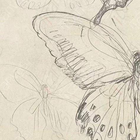 Lily Calloway, A Butterfly, Butterflies, Lily, Pencil