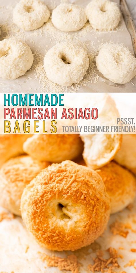 Easy Asiago Cheese Bagels are chewy, full of flavor and easy to make. Utilizing the Instant Pot makes this recipe FAST! Say goodbye to store-bought bagels, it's time to make them homemade! |Cooking with Karli| #asiago #bagel #bagelrecipe #easy #bagel #breakfastrecipe #homemade #easy Homemade Asiago Bagels, Savory Bagel Recipe, Cheese Bagels Recipe Homemade, Homemade Cheese Bagels, Cheesy Bagel Recipe, Cooking With Karli Bagels, How To Make Bagels Homemade, Bagel Flavor Ideas, Asiago Cheese Bagel Recipe