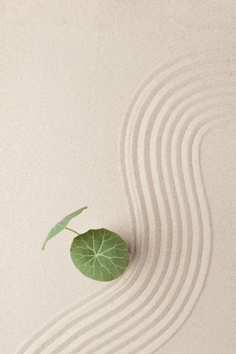 Nature, Zen Aesthetic Art, Zen Graphic Design, Sand Product Photography, Health And Wellbeing Aesthetic, Wellness Background, Wellbeing Aesthetic, Still Life Background, Wellbeing Photography