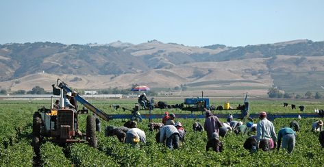 The National Academies Press | The Social-Ecological Consequences of Future Wildfire and Smoke in the West - Proceedings of a Workshop Union Organizing, Farm Workers, Workers Compensation, Road To Nowhere, Power Wall, Greenhouse Effect, The Better Man Project, Severe Storms, Workers Rights