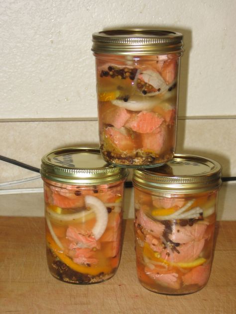 Pickled Salmon, Pickled Fish Recipe, Pickled Meat, Pickled Fish, Ham Wraps, Homemade Ham, Pickled Eggs, Homemade Pickles, Quick Appetizers