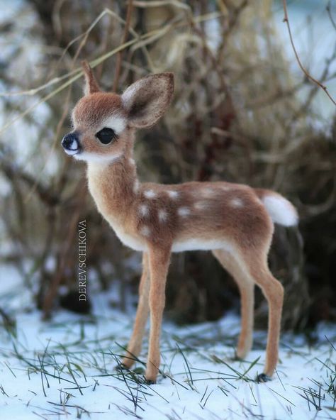 Small Deer, Cute Small Animals, Wool Animals, Cute Animals Puppies, Animated Animals, Baby Animals Pictures, Super Cute Animals, Pretty Animals