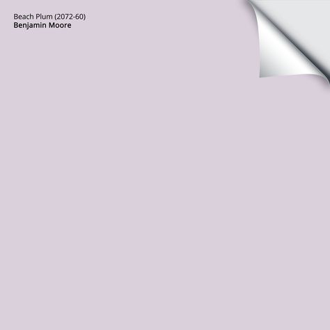 Beach Plum (2072-60) Benjamin Moore on Samplize Light Purple Paint Colors, Lilac Paint Color, Lavender Paint Colors, Purple Wall Color, Light Purple Walls, Light Purple Paint, Peel And Stick Paint Samples, Lilac Bedroom, Plum Paint