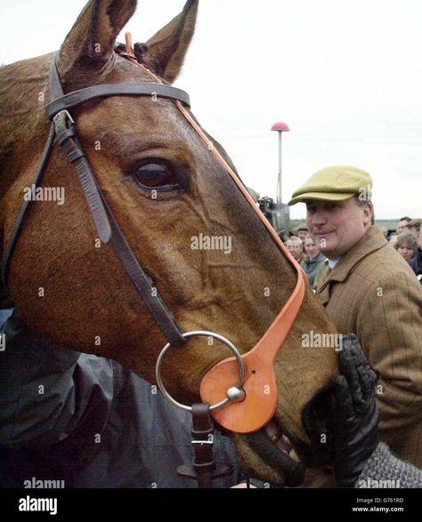 Download this stock image: See More Business with trainer Paul Nicholls after gaining victory in the Country Gentlemen's Association Jim Ford Steeple Chase at Wincanton. - G761RD from Alamy's library of millions of high resolution stock photos, illustrations and vectors. Steeple Chase, John Lyons Horse Trainer, Tryon International Equestrian Center, Image Processing, Victorious, See More, Gentleman, Photo Image, Stock Images