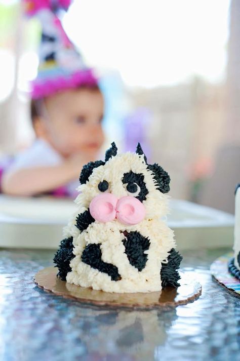 This adorable baby cow was the smash cake for a very special 1st birthday. Cow First Birthday Cakes, Farm Themed Smash Cake First Birthdays, Cow Print First Birthday Cake, Cow Smash Cake First Birthdays, Cow Cake Smash 1st Birthdays, Cow Birthday Smash Cake, Cow Themed Smash Cake, One Year Old Cow Birthday Party, Cow One Year Birthday