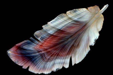 Feather Agate carving by Aaron Sangenitto Agate Carving, Gemini Birthstone, Carved Agate, Carved Gemstones, Rocks And Fossils, Gemstone Art, Pretty Rocks, Cool Rocks, Birthstone Colors